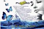 Pulioro s.a.s- Impresa di pulizie  di Bosio Marino & C