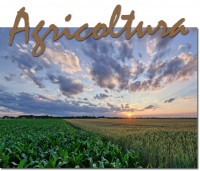 AGRICOLTURA