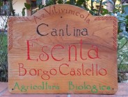 Azienda Vitivinicola Borgo Castello Esenta