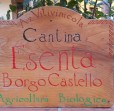 Azienda Vitivinicola Esenta Borgo Castello1